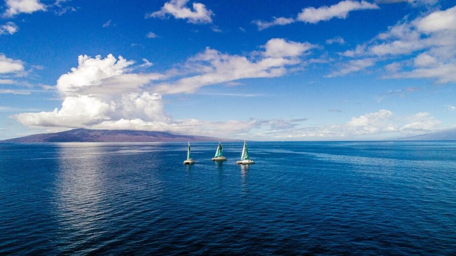 Maui: Kaanapali Dolphin Watching Boat Trip with Lunch - Lunch, Pupus, and Open Bar: Why This Trip Feels Complete