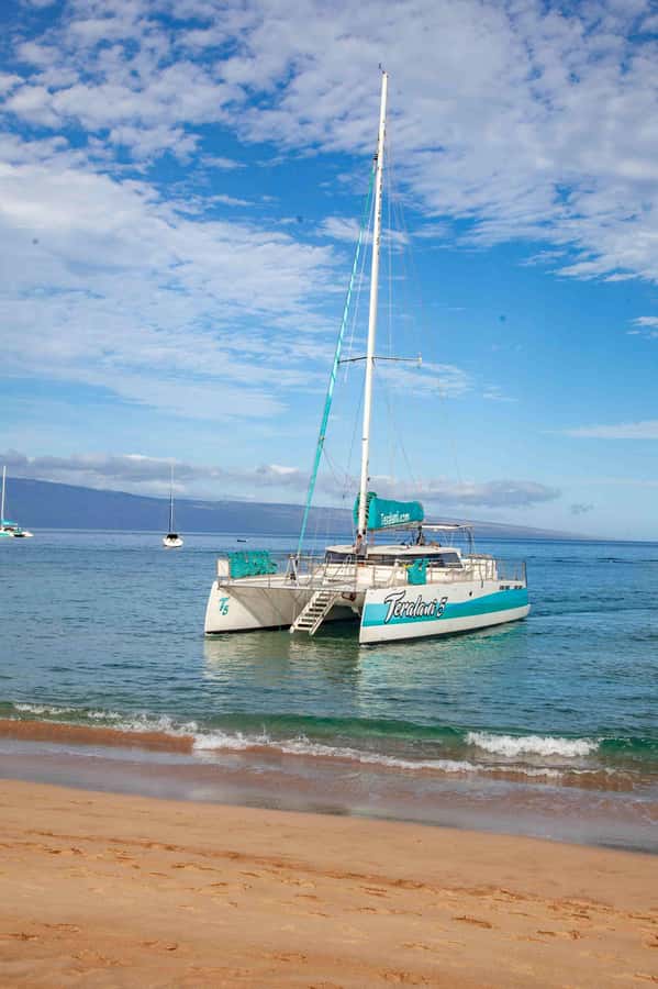 Maui: Kaanapali Whale Watching Boat with Open Bar and Food - Food and Open Bar at Sea: What You Gain Beyond Convenience