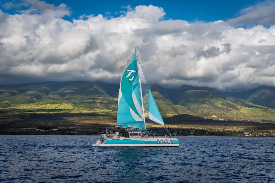 Maui: Kaanapali Whale Watching Boat with Open Bar and Food - Price and Value: Is $167 Worth It for a Maui Whale Watch?