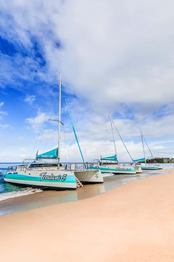 Maui: Kaanapali Whale Watching Boat with Open Bar and Food - So, Should You Book This Kaanapali Whale Watching Cruise?