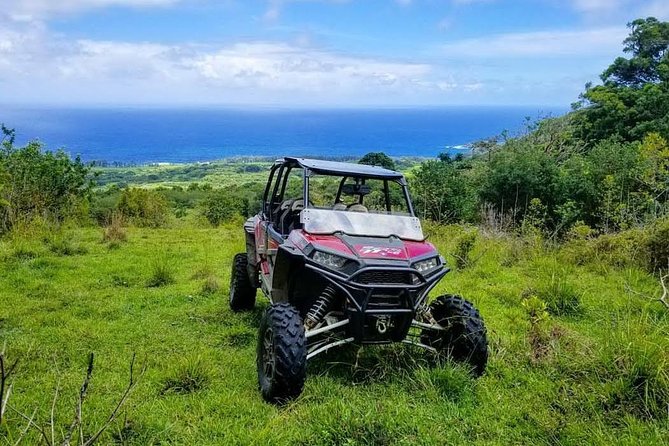 Maui: Lahaina ATV Adventure - Tree planting: an eco-friendly stop that feels more than symbolic