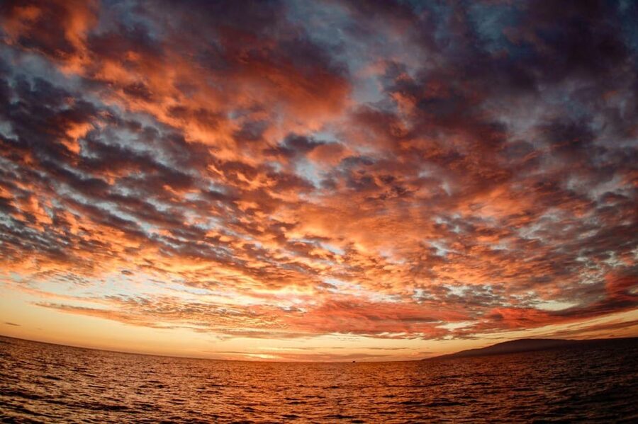 Maui: Luxury Catamaran Royal Sunset 5-Course Dinner Cruise - Price and value: what $289 buys you on the water