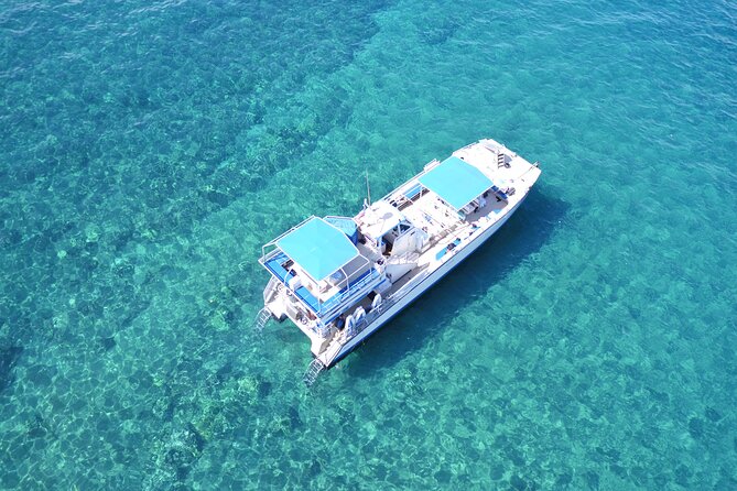 Maui Magic Adventure Snorkel: Molokini Crater and Turtle Stop - Price: is $213.41 worth it?