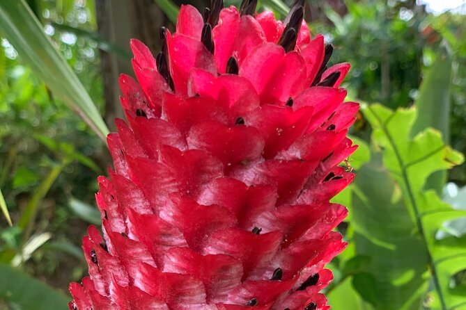Maui Magical Waterfall and Jungle Tour: Road to Hana - Stop 2: Wailua Falls Overlook and the Lava-Created Keanae Lookouts