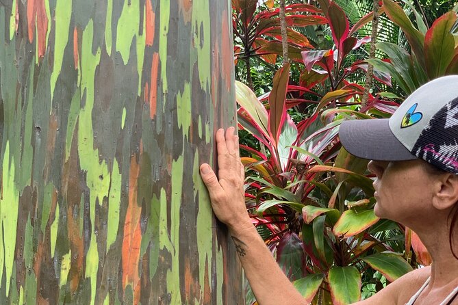 Maui Magical Waterfall and Jungle Tour: Road to Hana - Why the $189 Price Feels Fair for This Half-Day