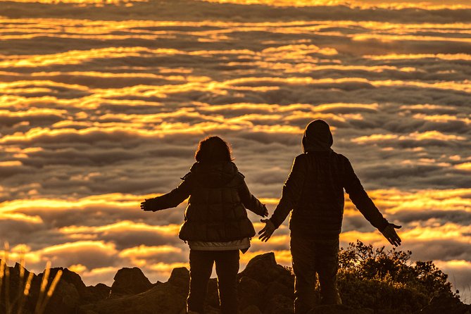 Maui: Majestic Haleakala Sunrise Tour with Pick-up - Price and value: what you are really paying for at $263.99