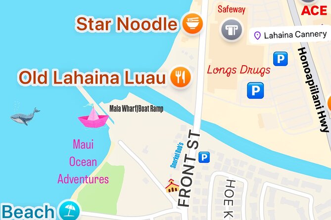Maui Mid Day Magic Whale Watch - From Mala Boat Ramp to Whale Watching in Under 2 Hours