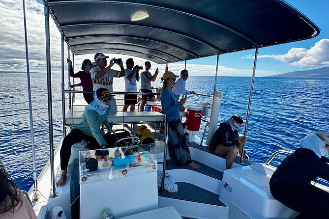 Maui Mid Day Magic Whale Watch - Comfort and Practicalities on Board