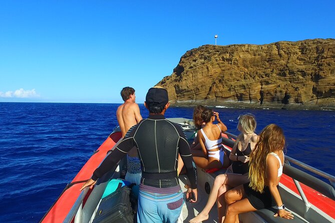 Maui: Molokini Crater and Turtle Town Snorkeling From Kihei - Stop 2: Turtle Town snorkel, what it feels like to see honu close up