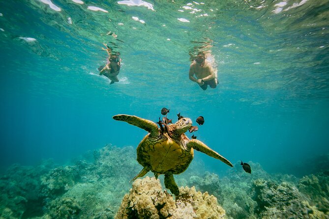 Maui: Molokini Crater and Turtle Town Snorkeling From Kihei - On-board snacks and light lunch, and why it matters for a 3-hour tour