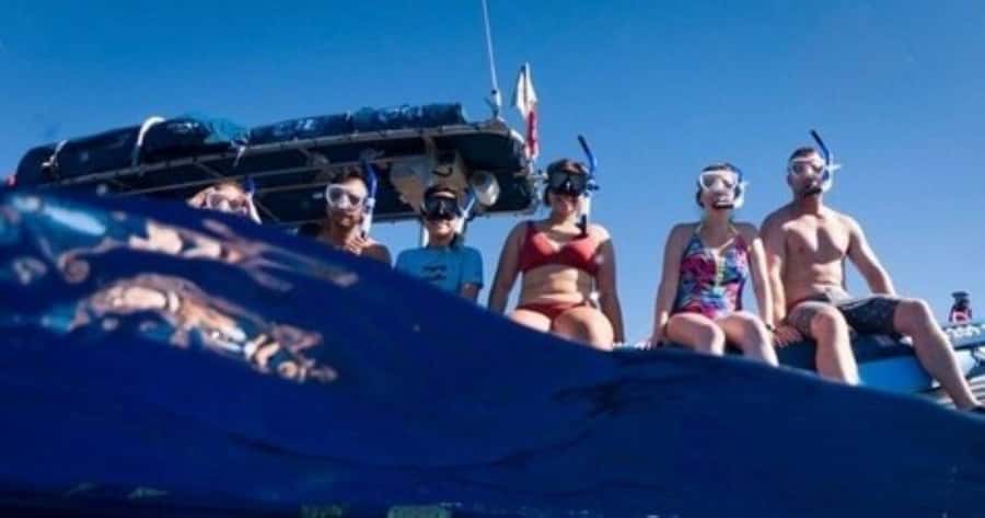 Maui: Molokini Crater and Turtle Town Snorkeling Tour - 3 hr - Molokini Crater without the big-boat chaos