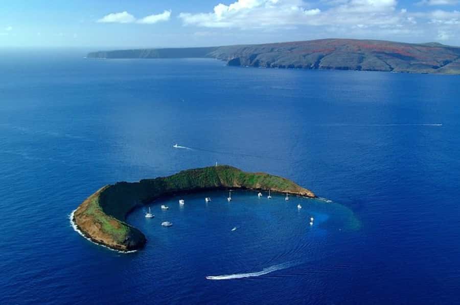 Maui: Molokini Express Snorkeling Tour - 2 hours - What you actually snorkel: inside reef, outer rim drift, and the backside zone