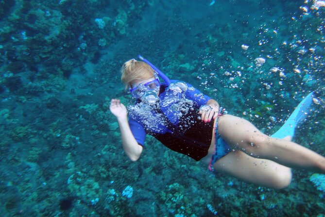 Maui: Molokini & Turtle Town Snorkel & Waterslide Adventure - Gear, sunscreen, and what you still need to bring