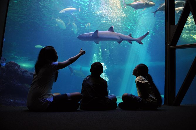 Maui Ocean Center All Day Admission Ticket - Quick hits before you go