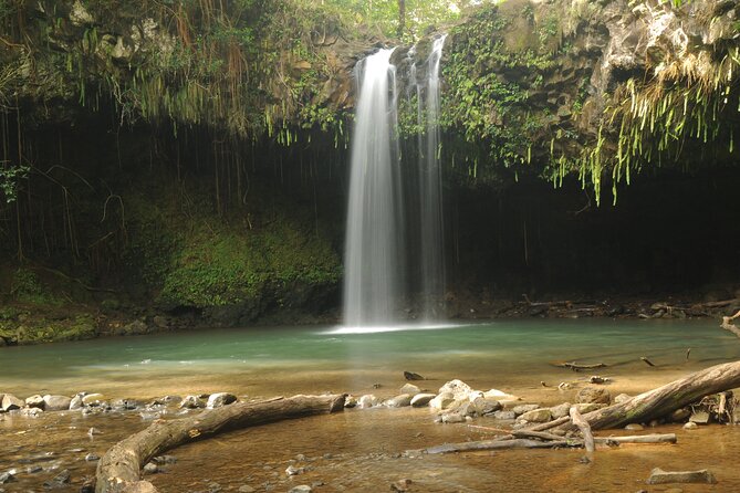 Maui part-way to Hana North Shore sightseeing & Photography Tour! - Getting Going at 9:30: Timing, Pickup, and How to Plan Your Day