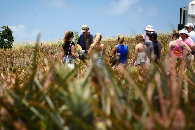 Maui Pineapple Farm Tour in Haliimaile - Entering Haliimaile: Why This Tour Feels Like Real Farm Life