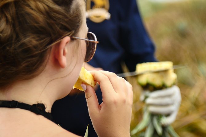 Maui Pineapple Farm Tour in Haliimaile - Getting Your Airport-Ready Pineapple: The Souvenir That Actually Gets Used