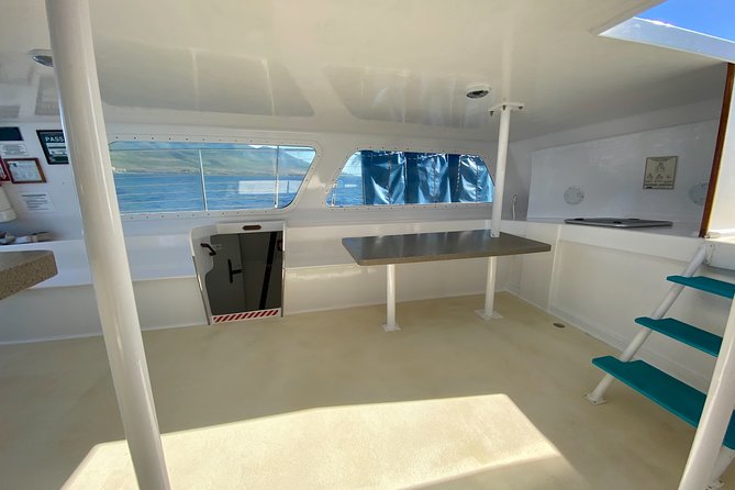 Maui Premium Sunset Dinner Cruise from Ka’anapali Beach - Seating, Standing, and How to Get the Best View