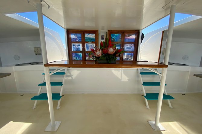Maui Premium Sunset Dinner Cruise from Ka’anapali Beach - Who Should Book This Cruise, and Who Should Skip It