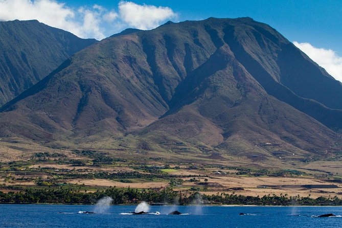 Maui Premium Sunset Dinner Cruise & Whale Watch - The 3-hour timing: what a cruise like this feels like