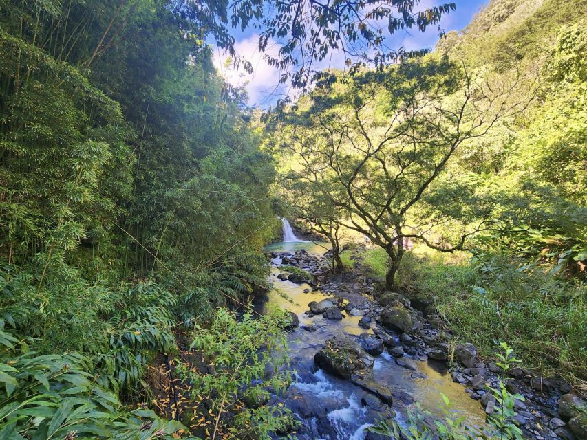 Maui: Private All-Inclusive Road to Hana Tour with Pickup - Sea turtles on the route, watch but don’t force it