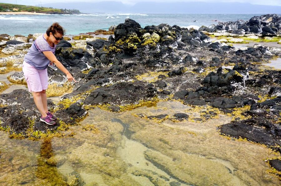 Maui: Private Guided Halfway to Hana Tour - Key things I’d pencil in first