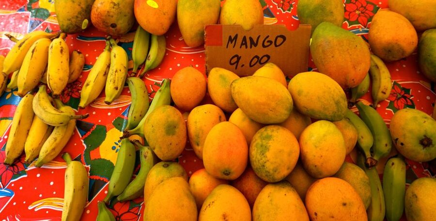 Maui: Private Guided Halfway to Hana Tour - From Kahului to Paʻia and Maui’s Agricultural Basin