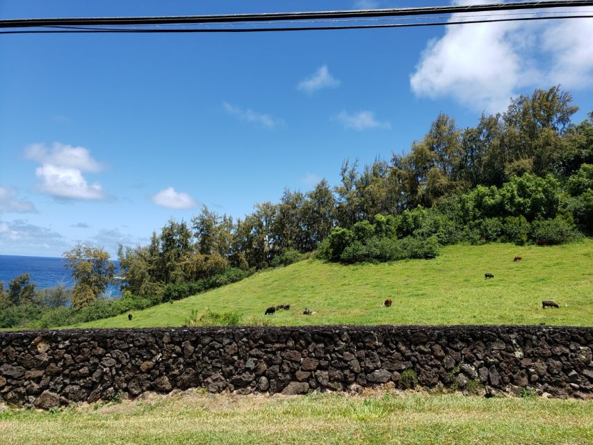 Maui : Private : Road to Hana Day Trip : Just For Your Group - Pua’a Ka’a State Wayside in Nahiku, where the day turns wet