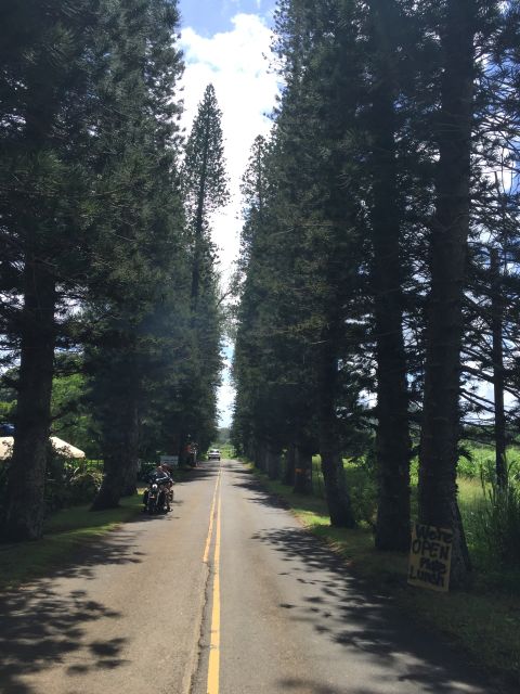 Maui : Private : Road to Hana Day Trip : Just For Your Group - The 8-hour Road to Hana pace, and why it feels both fast and fair