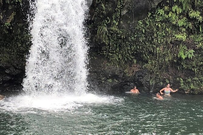 Maui Private Tour - Road to Hana Adventure - Just for Your Group - Why a private Road to Hāna feels worth it