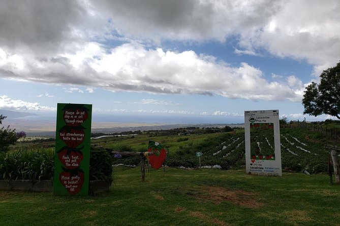 Maui Private Tour - Road to Hana Adventure - Just for Your Group - Aunty Sandy’s banana bread and Black Sand Beach