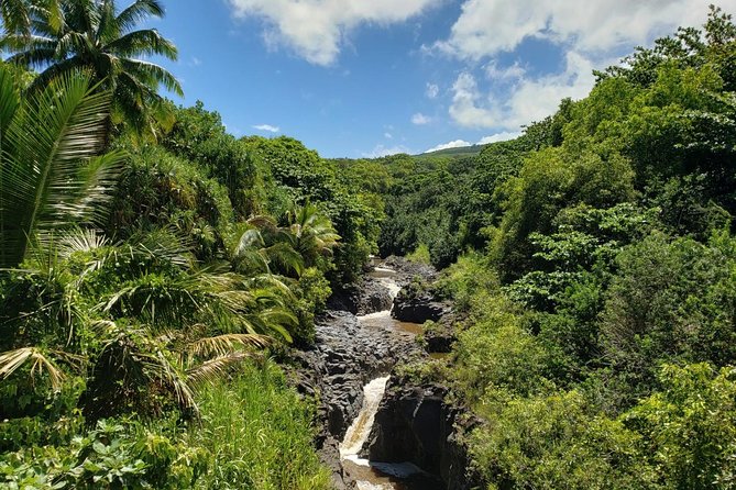 Maui Private Tour - Road to Hana Adventure - Just for Your Group - Nakalele Blowhole, Hana Town, and Seven Pools photos
