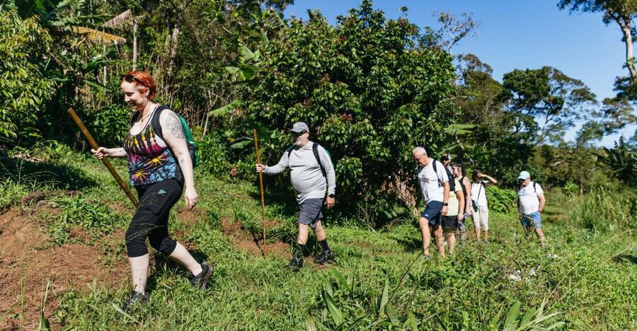 Maui: Rainforest Waterfalls Guided Hike with Picnic Lunch - Key Takeaways Before You Go