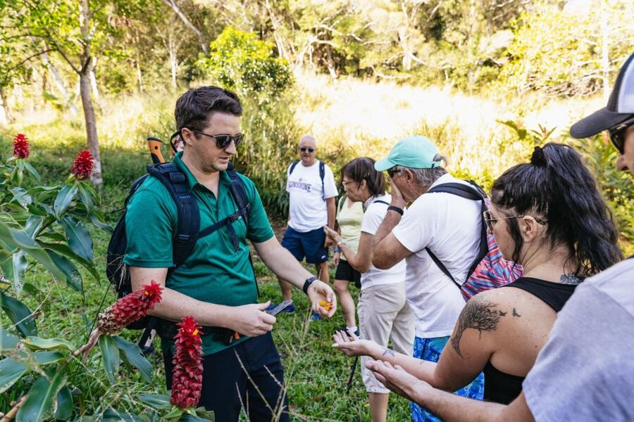 Maui: Rainforest Waterfalls Guided Hike with Picnic Lunch - East Maui Rainforest Waterfalls: Why This 5-Hour Hike Feels Like More Than a Walk
