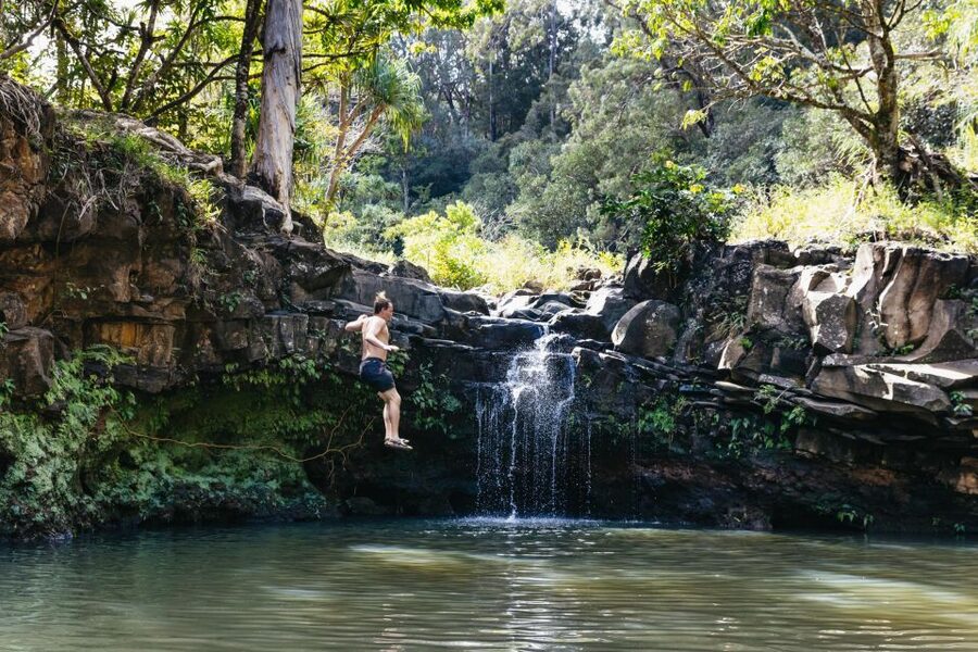 Maui: Rainforest Waterfalls Guided Hike with Picnic Lunch - Getting There From Kahului: Park and Ride Meet Point vs Hotel Pickup