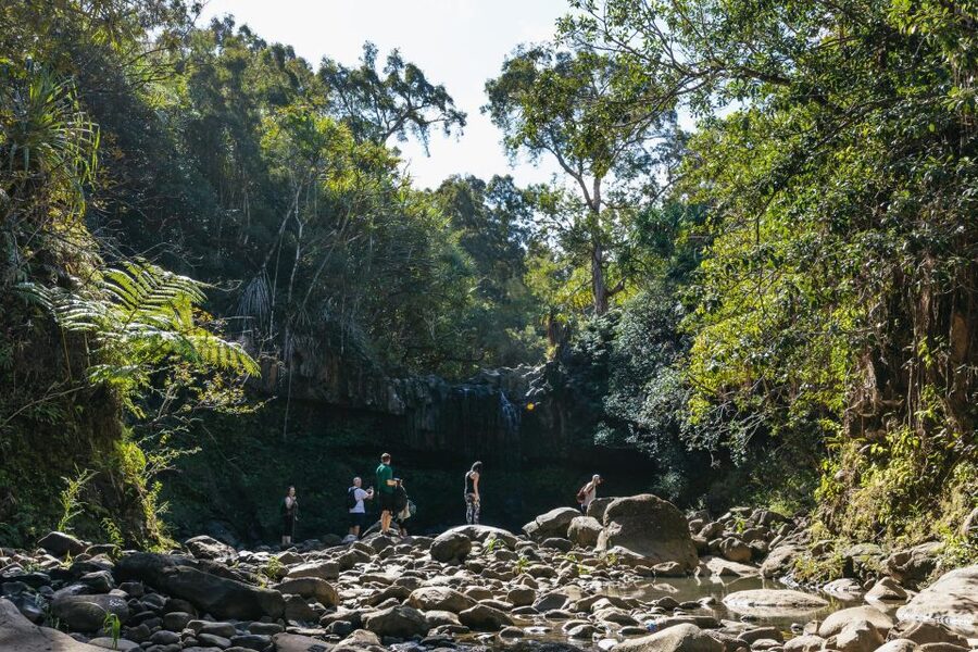 Maui: Rainforest Waterfalls Guided Hike with Picnic Lunch - Waterfall Stops: Heights, Swimming Pools, and the Joy of Getting Wet