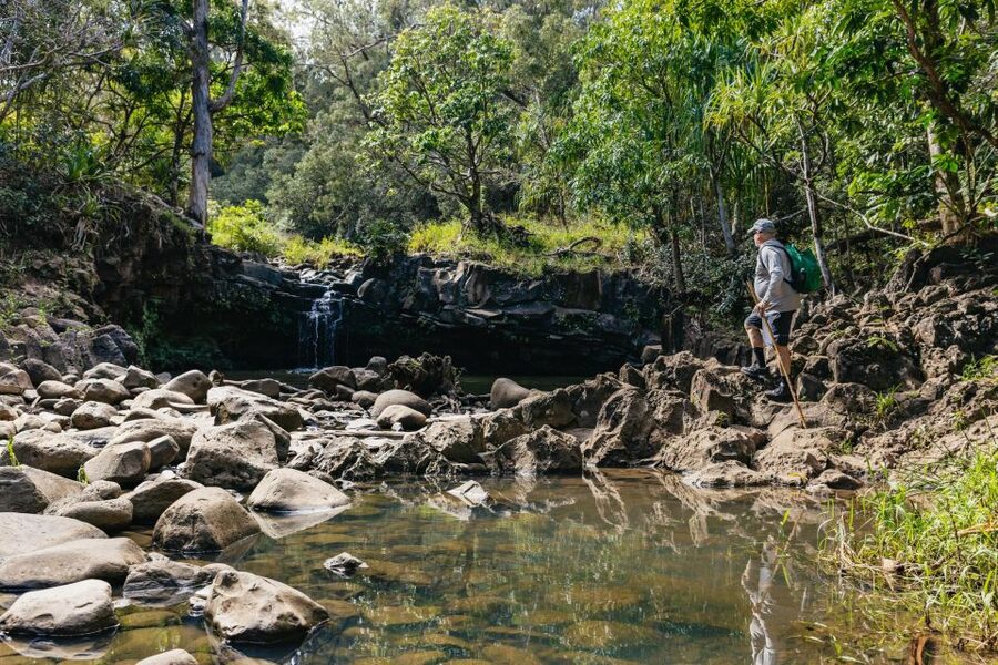 Maui: Rainforest Waterfalls Guided Hike with Picnic Lunch - Gear That Works: Shoes, Swimwear, Towel, and Bug Control