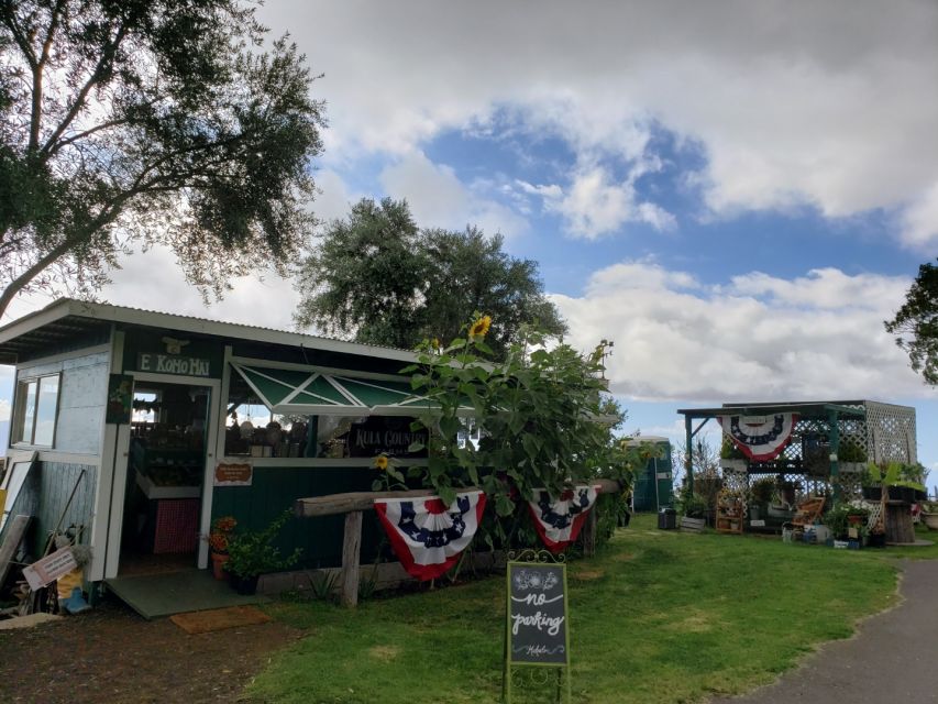 Maui: Road to Hana Adventure with Breakfast & Lunch - Key highlights to clock before you go
