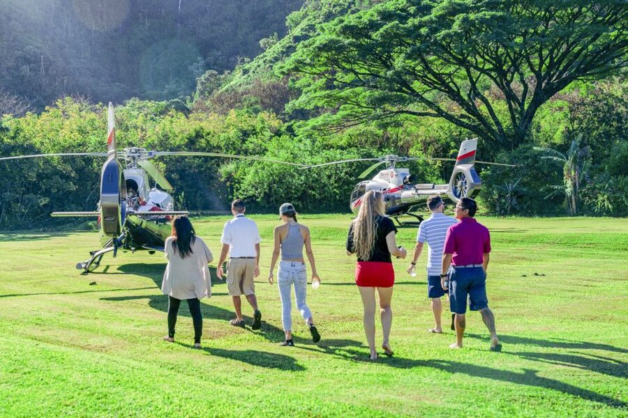 Maui: Road to Hana Helicopter & Waterfall Tour with Landing - Key highlights you should circle