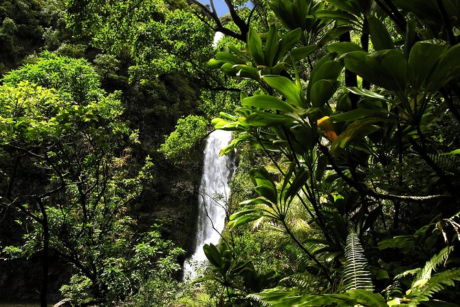 Maui: Road to Hana Luxury Limo-Van Tour with Helicopter Flight - Lunch on Maui’s Coast: Pacific Rim Food and Linens