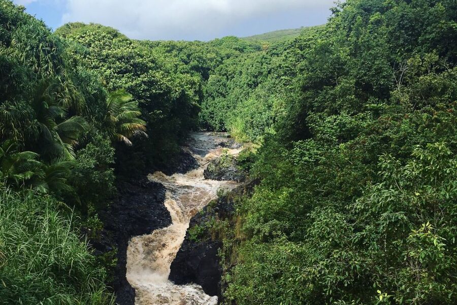 Maui: Road to Hana Sightseeing Tour - Price and value: is $260 per person fair?