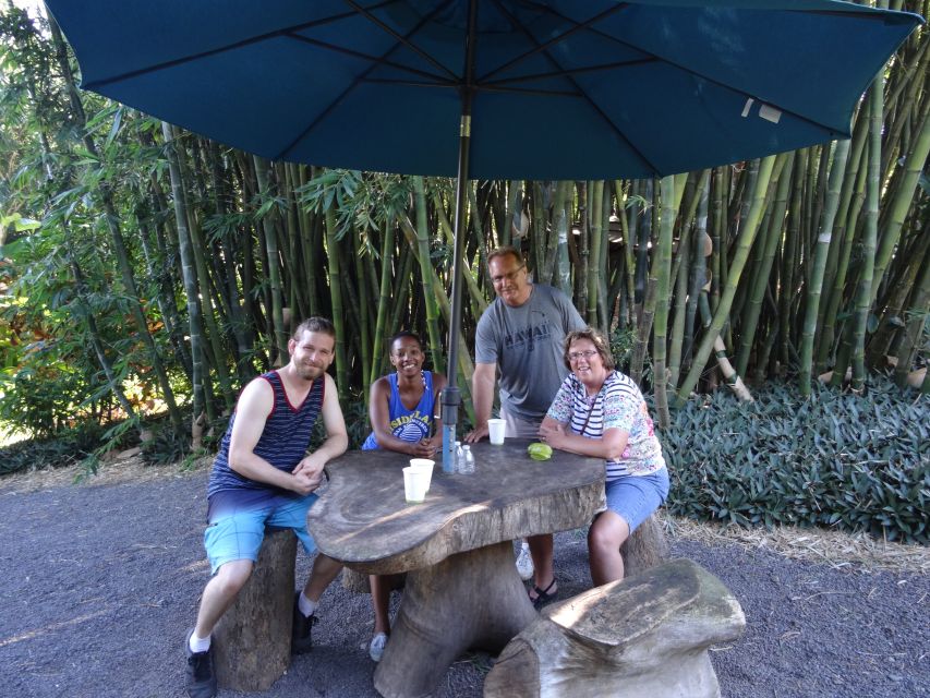 Maui: Road to Hana Waterfalls Tour with Lunch - Price and Value at $259 Per Person