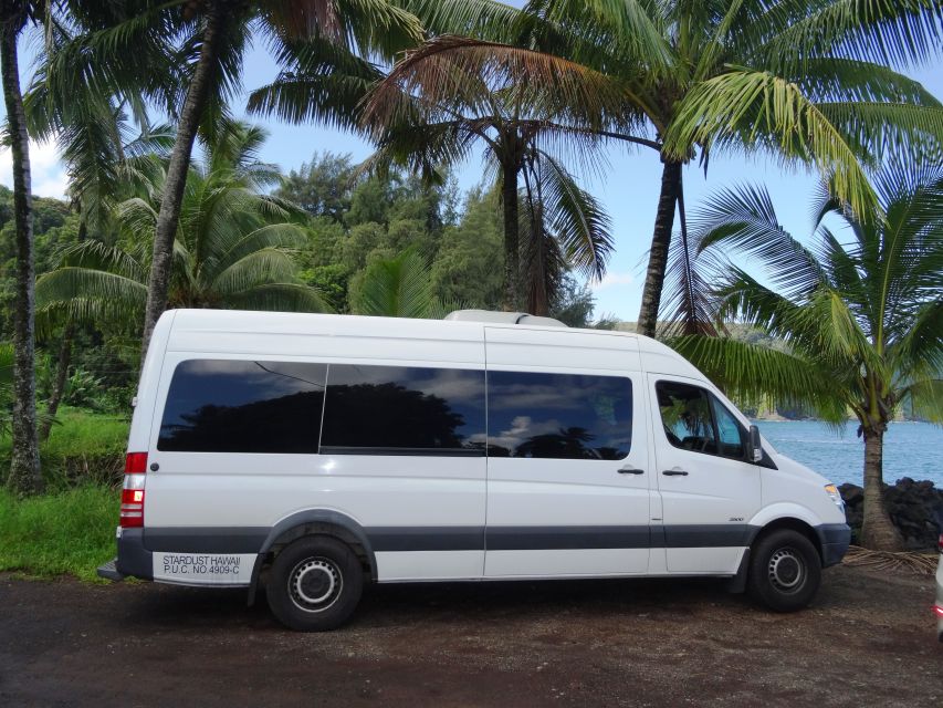 Maui: Road to Hana Waterfalls Tour with Lunch - Black Sand Beach Swim Stop: Famous, Short, Crowded