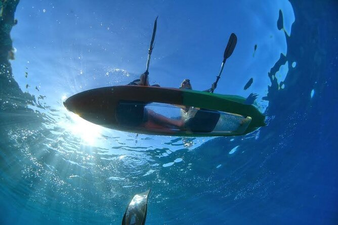 Maui's Only Clear Bottom Kayak Rental (priced per tandem kayak) - Key Points at a Glance