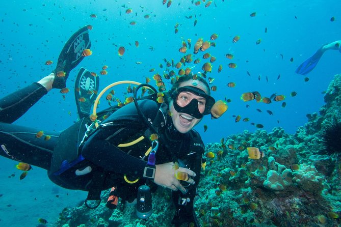 Maui Scuba Diving Introductory Lesson from Lahaina - Price and Time: What You’re Paying for in Lahaina
