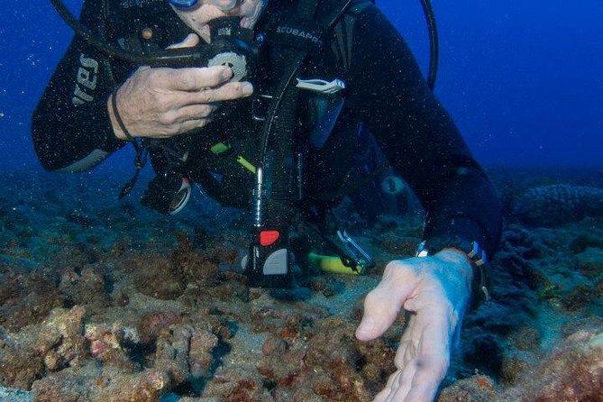 Maui Scuba Diving Introductory Lesson from Lahaina - 7:30am Logistics in Lahaina: Meeting, Gear, and Waiver Reality