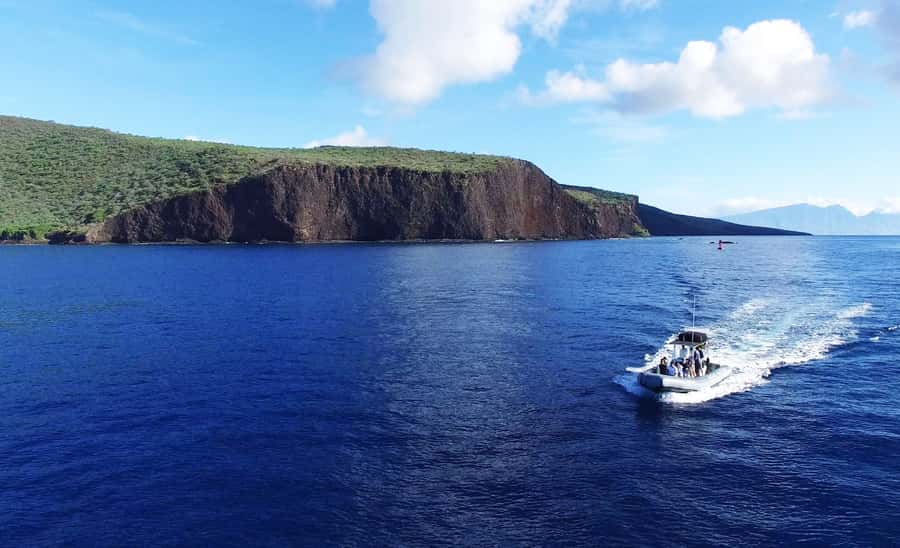 Maui: Semi-Private Eco-Raft Lanai Snorkel & Dolphin Tour - Snorkeling on Lanai: 2 or 3 Stops, All Levels Included