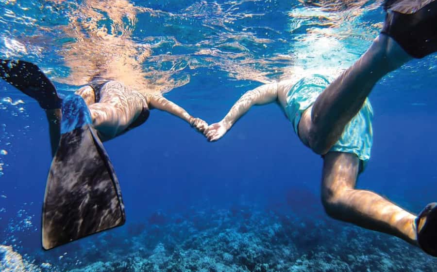 Maui: Semi-Private Eco-Raft Lanai Snorkel & Dolphin Tour - Who This Tour Suits Best on Maui