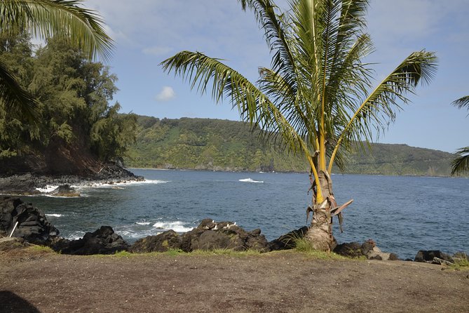 Maui Shore Excursions : Road to Hana With Pickup & Lunch - Bamboo Forest, Waterfalls, and Pua‘a Ka‘a State Park Picture Breaks