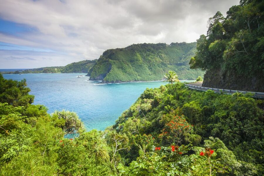 Maui: Small-Group Road to Hāna Sightseeing Tour - Who this Maui Road to Hāna tour fits best